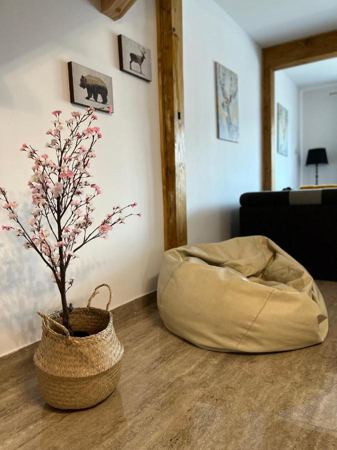 זקופאנה Osada Marcowa - Niebieski Domek Z Sauna & Jacuzzi מראה חיצוני תמונה